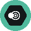 icon ng SNPIT TOKEN